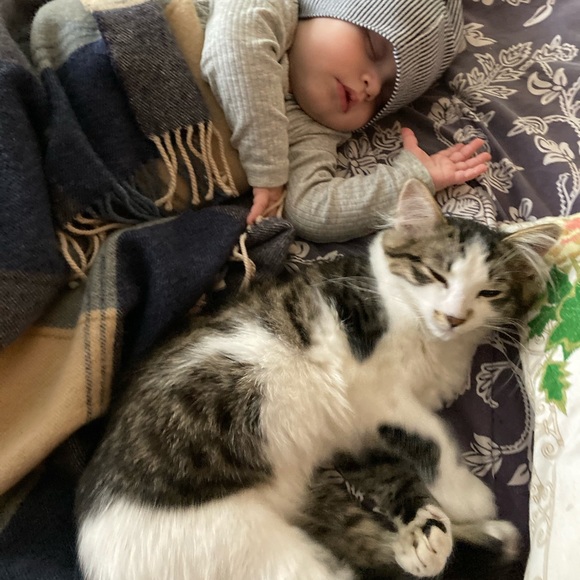 Meet your Posher, Ehrinn - Picture 3 of 6